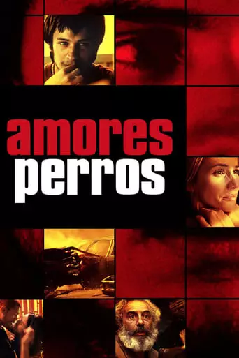 Amores Perros (2000) Watch Online