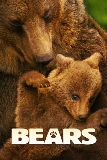 Bears (2014) Watch Online