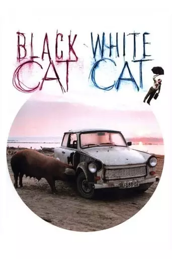 Black Cat, White Cat (1998) Watch Online