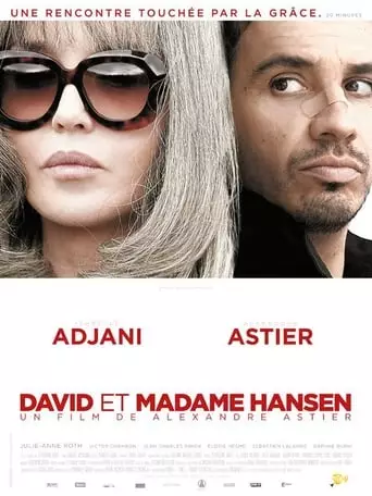 David et Madame Hansen (2012) Watch Online