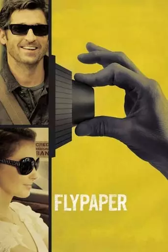 Flypaper (2011) Watch Online