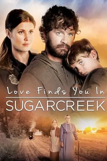 Love Finds You In Sugarcreek (2014) Watch Online