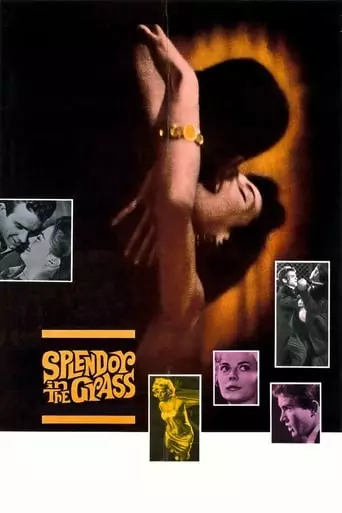 Splendor in the Grass (1961) Watch Online