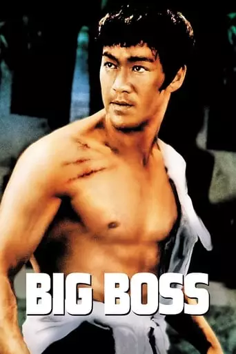 The Big Boss (1971) Watch Online