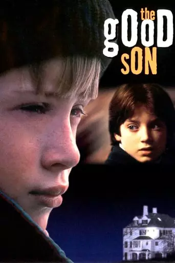 The Good Son (1993) Watch Online