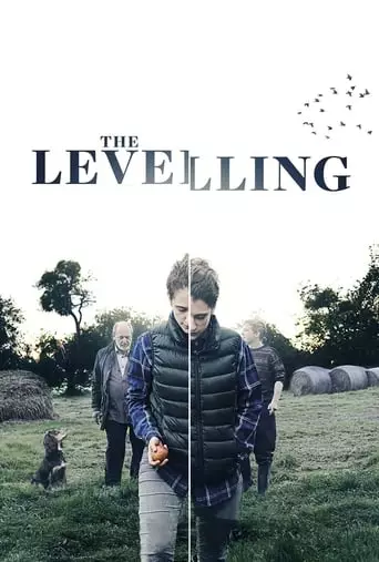 The Levelling (2017) Watch Online