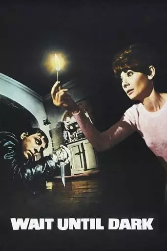 Wait Until Dark (1967) Watch Online