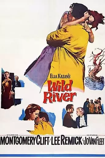 Wild River (1960) Watch Online