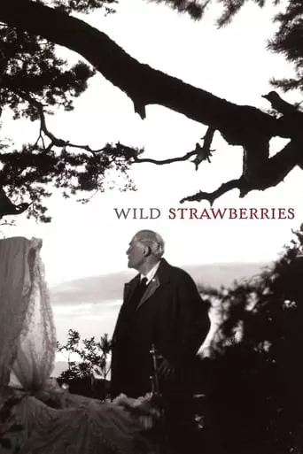 Wild Strawberries (1957) Watch Online