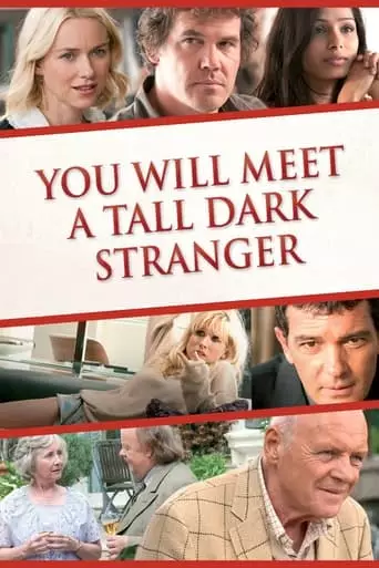 You Will Meet a Tall Dark Stranger (2010) Watch Online